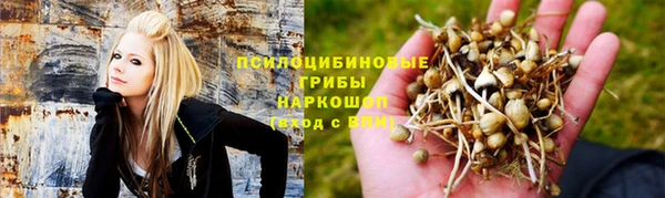 винт Балахна