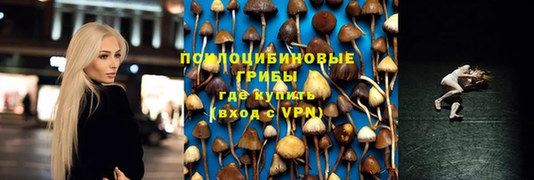 винт Балахна