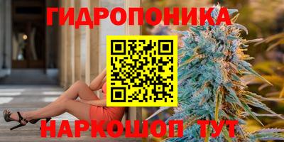соль курить ск Кингисепп