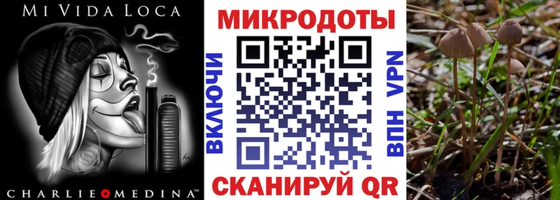 купить наркоту  нарко площадка какой сайт  Псилоцибиновые грибы MAGIC MUSHROOMS  Дальнегорск 