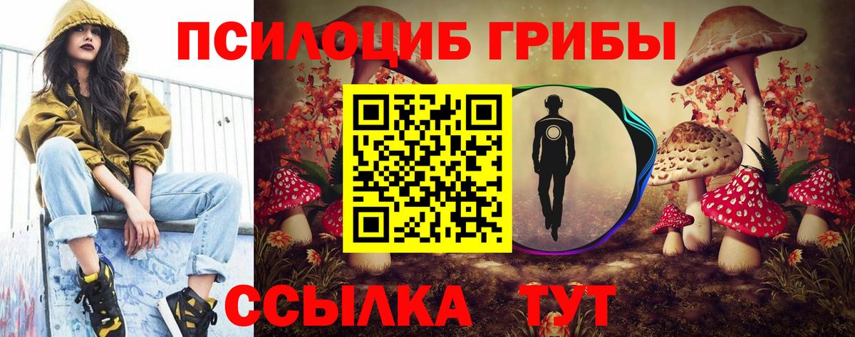 Дальнегорск  Галлюциногенные грибы Cubensis  Вход с VPN 