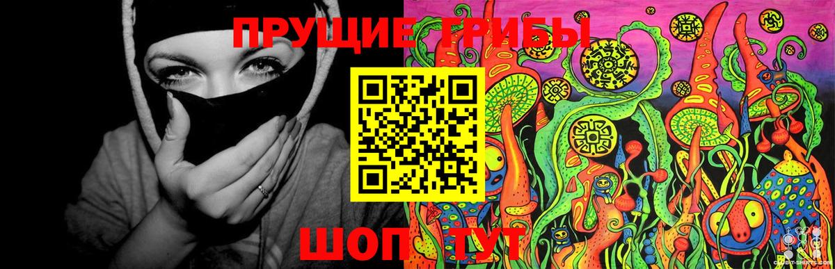 Галлюциногенные грибы Cubensis Дальнегорск